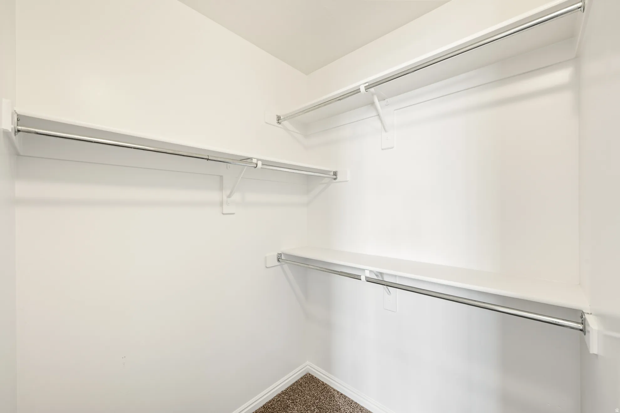 Walk-in closet featuring white shelving with chrome hanging rods, white walls, and a carpeted floor