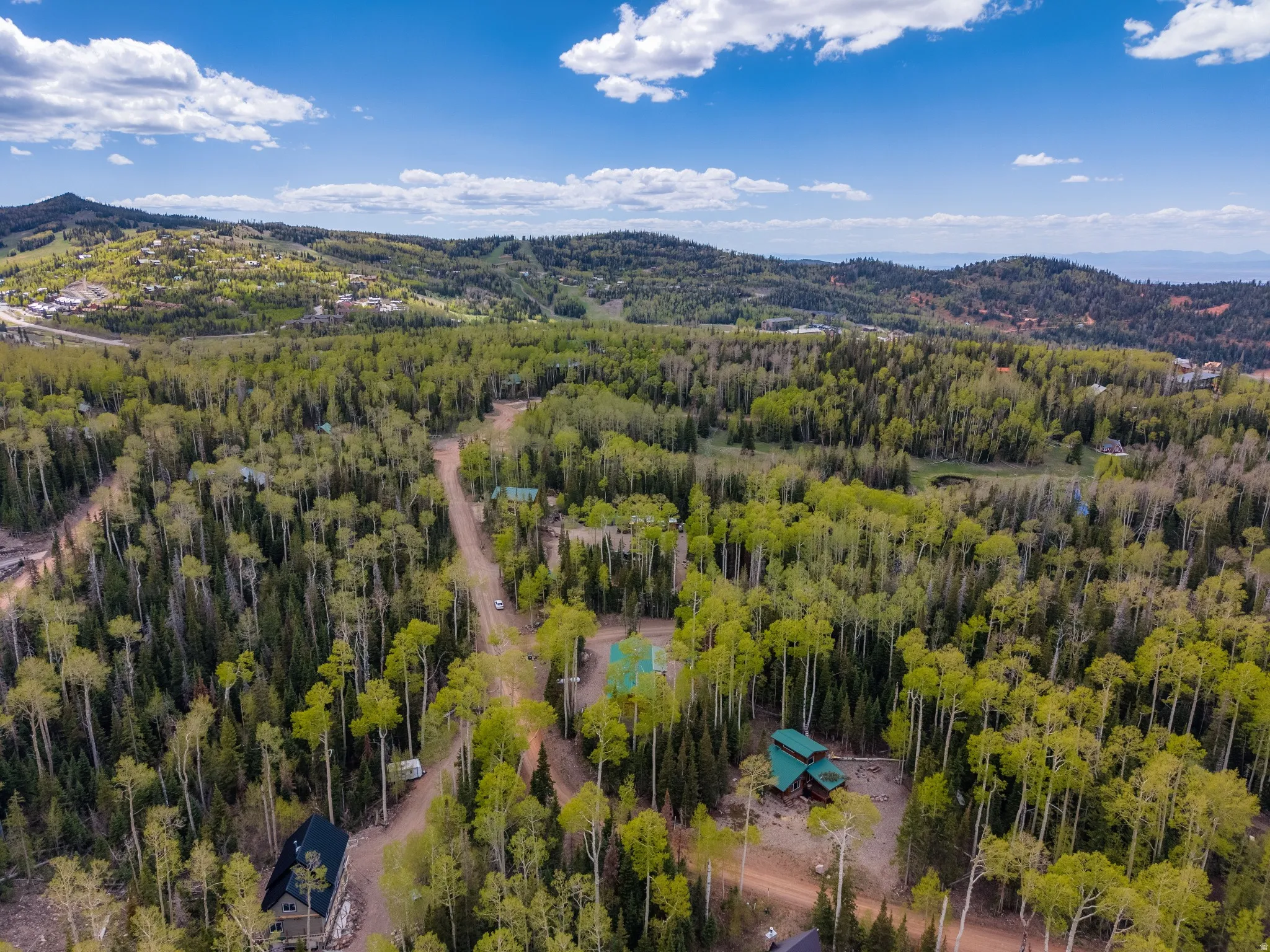 Expansive wooded acreage featuring diverse tree coverage, including aspen and pine