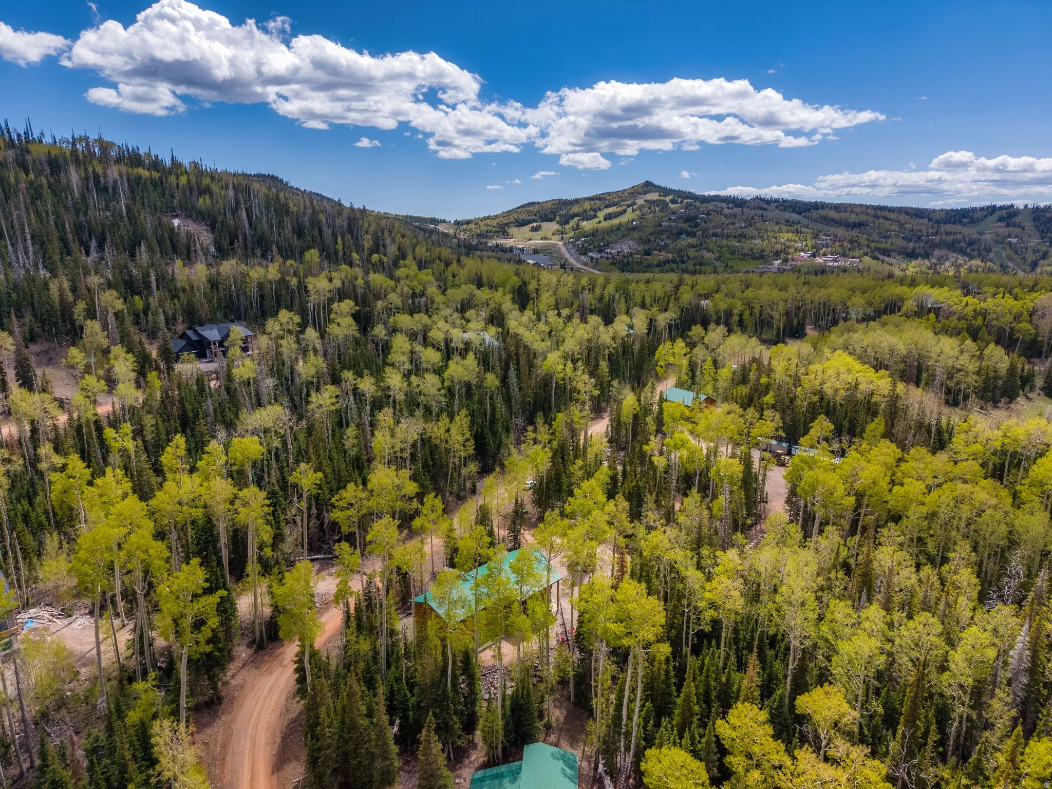 Expansive wooded property featuring mature trees and a distant mountain landscape