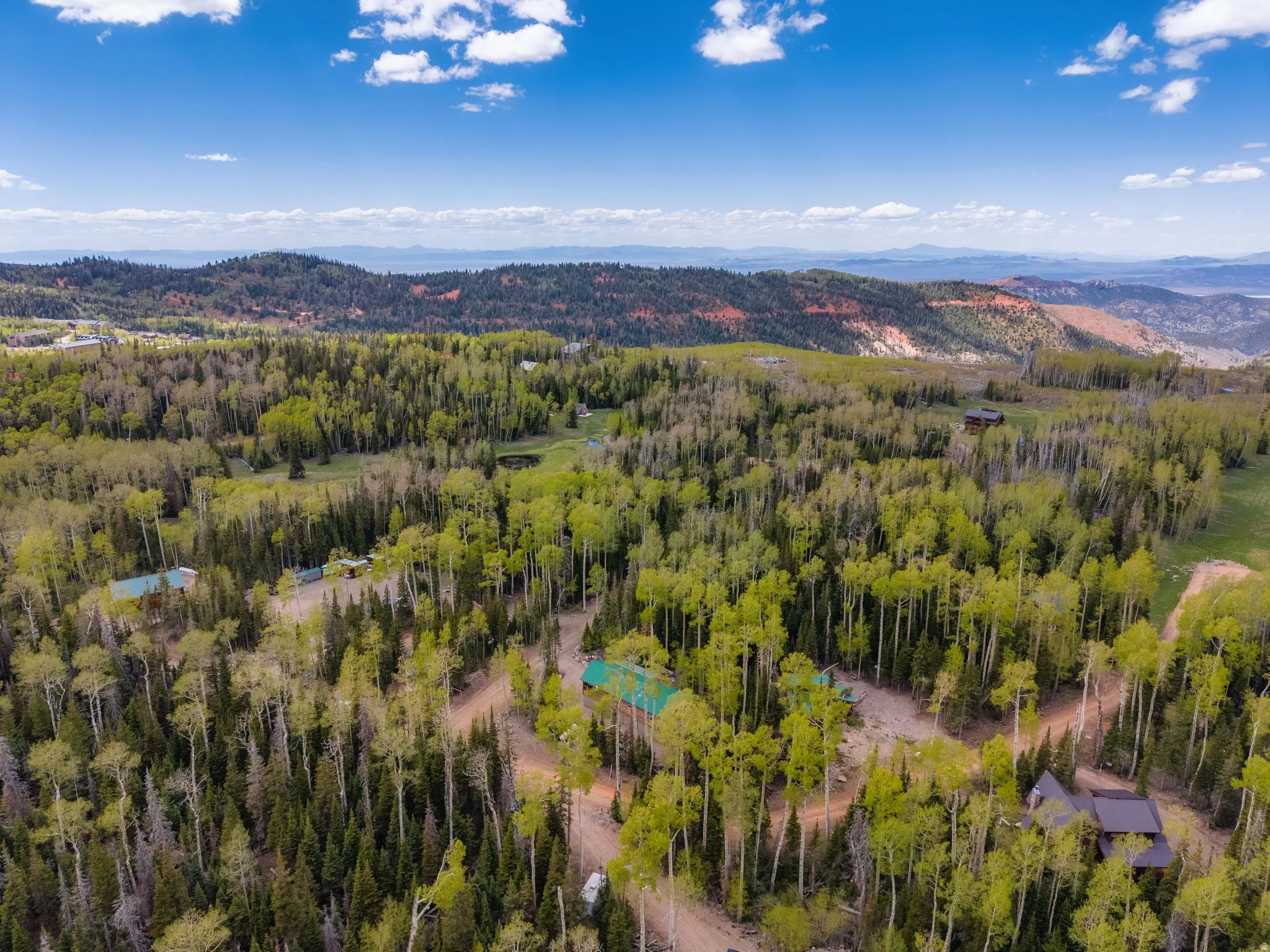 Expansive wooded property featuring multiple structures, verdant foliage, and mountainous terrain