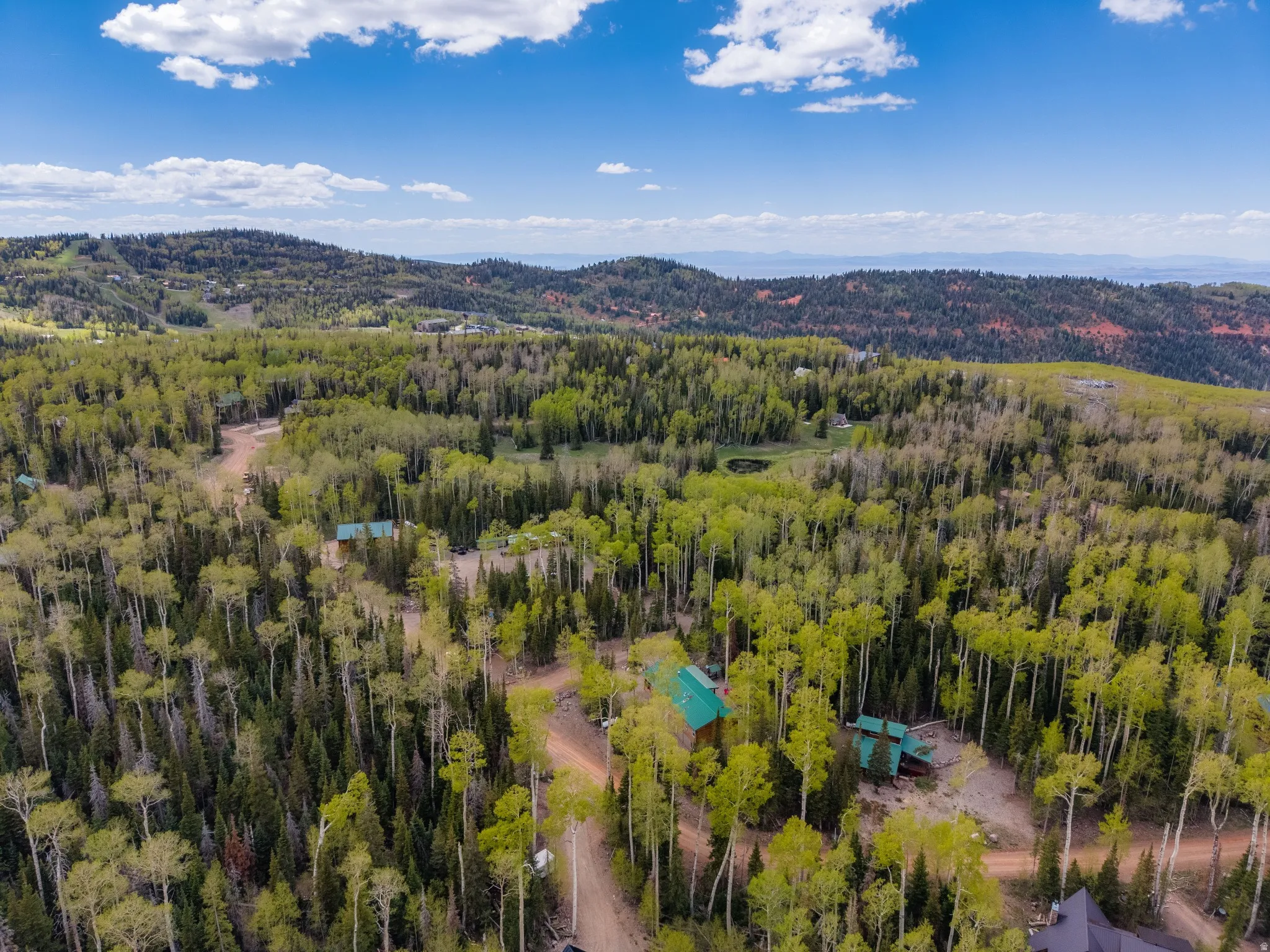 Expansive forested landscape featuring multiple homes with green roofs, a pond, and unpaved roads