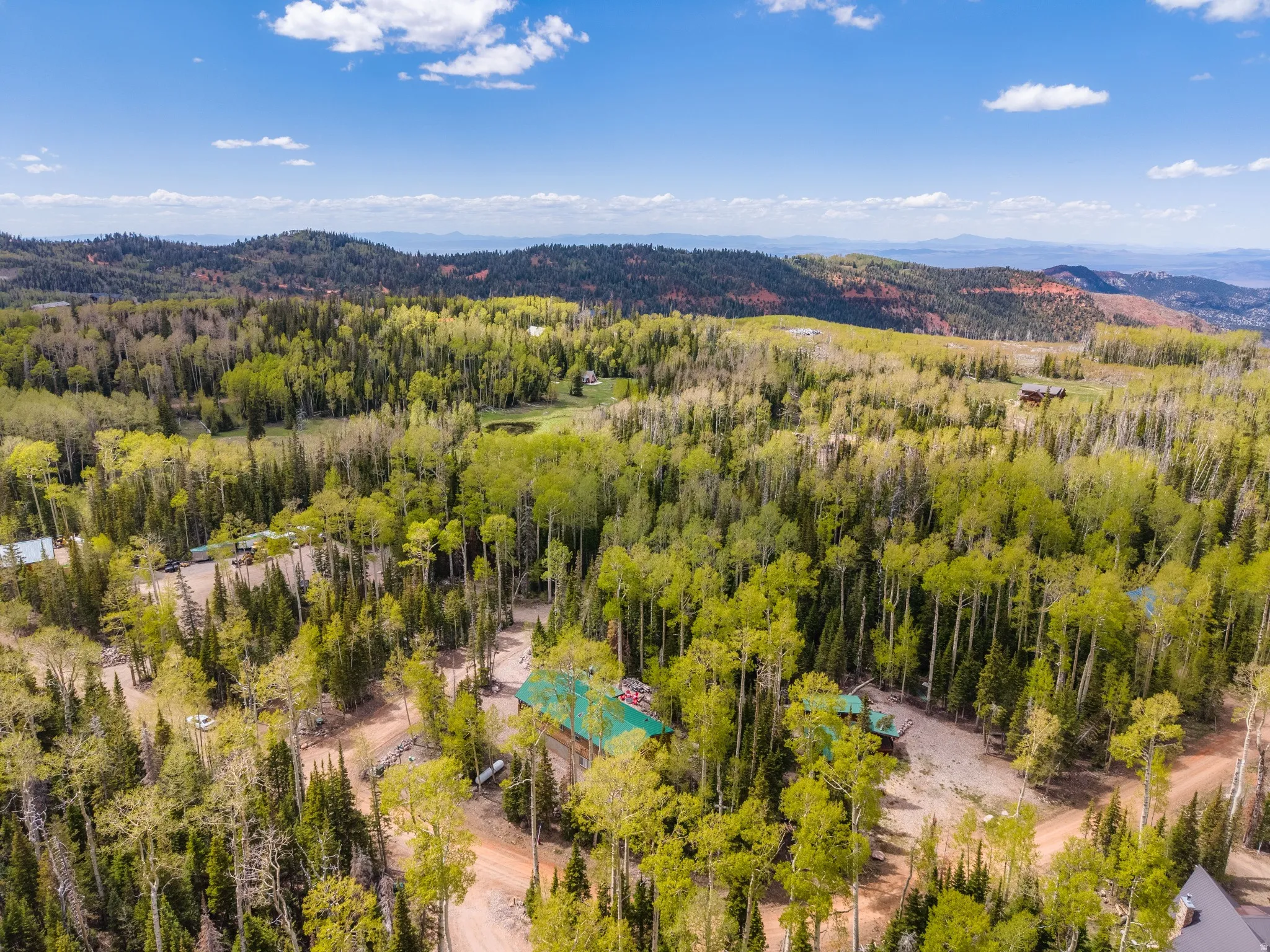 Mountainous landscape with lush green and yellow-green deciduous trees and scattered evergreen trees