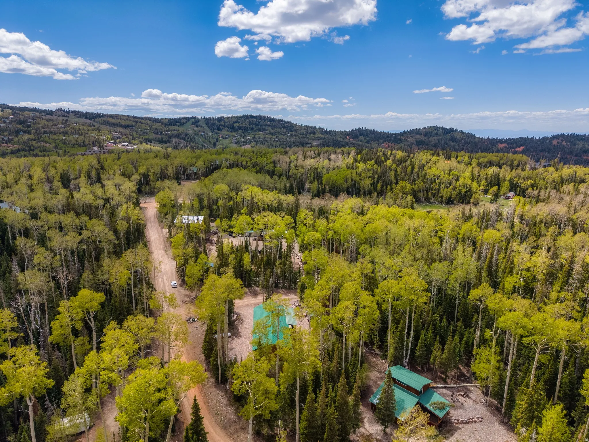 Expansive forested landscape featuring mature deciduous and evergreen trees