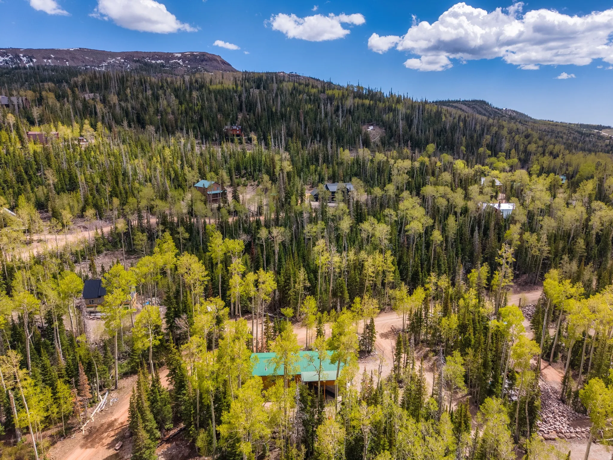 Aerial perspective showcasing a mountain setting with extensive tree coverage
