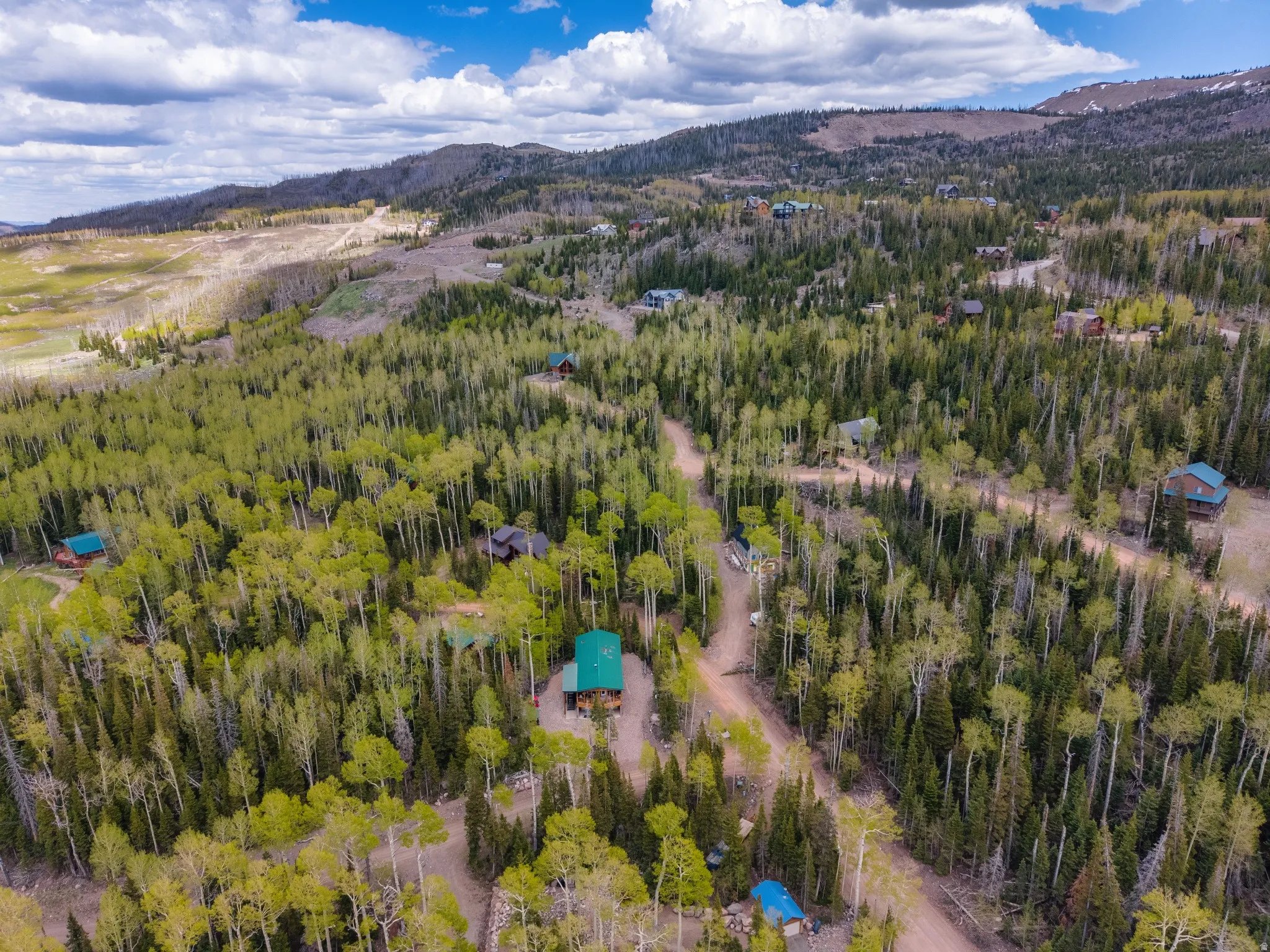 Wooded property featuring a multi-level cabin with a green metal roof
