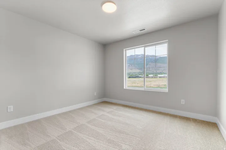 Neutral-toned wall finishes complement the textured carpet flooring