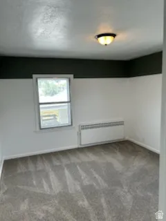 Carpeted interior space featuring a window with exterior visibility, a ceiling-mounted light fixture, white baseboards, and a wall-mounted radiator