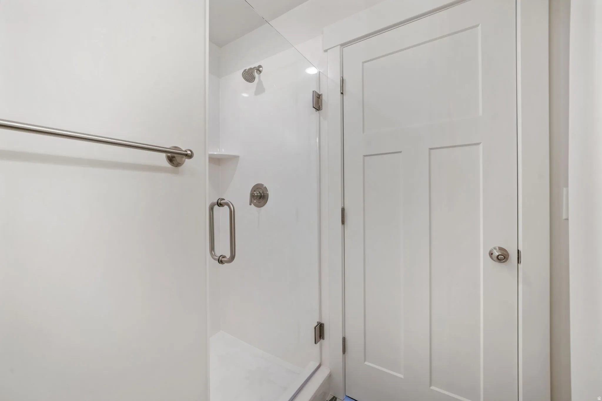 Shower enclosure featuring a frameless glass door, brushed nickel hardware, and built-in shelving