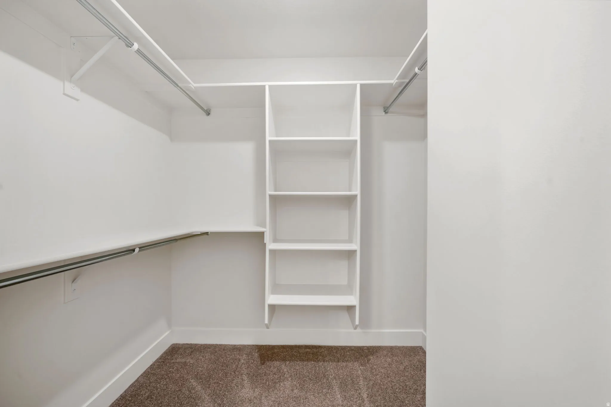 Walk-in closet featuring white built-in shelving, multiple hanging rods, and neutral-toned carpeting