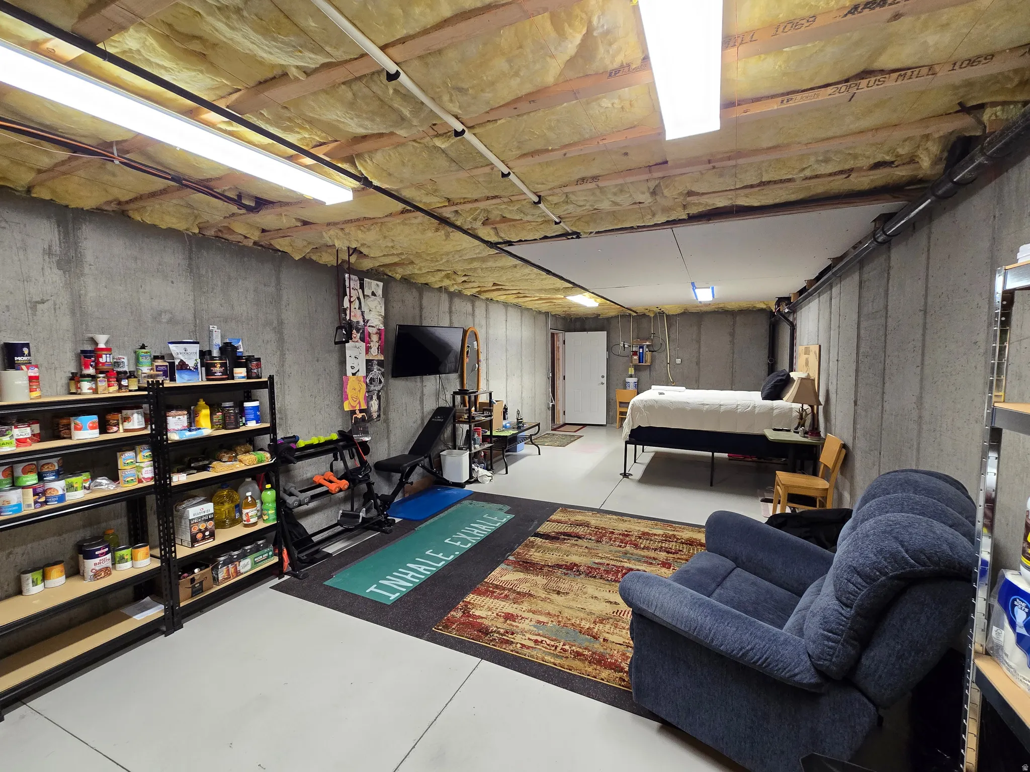 Unfinished basement with concrete walls and a concrete floor, featuring exposed ceiling joists with insulation, fluorescent strip lighting, and a white interior door