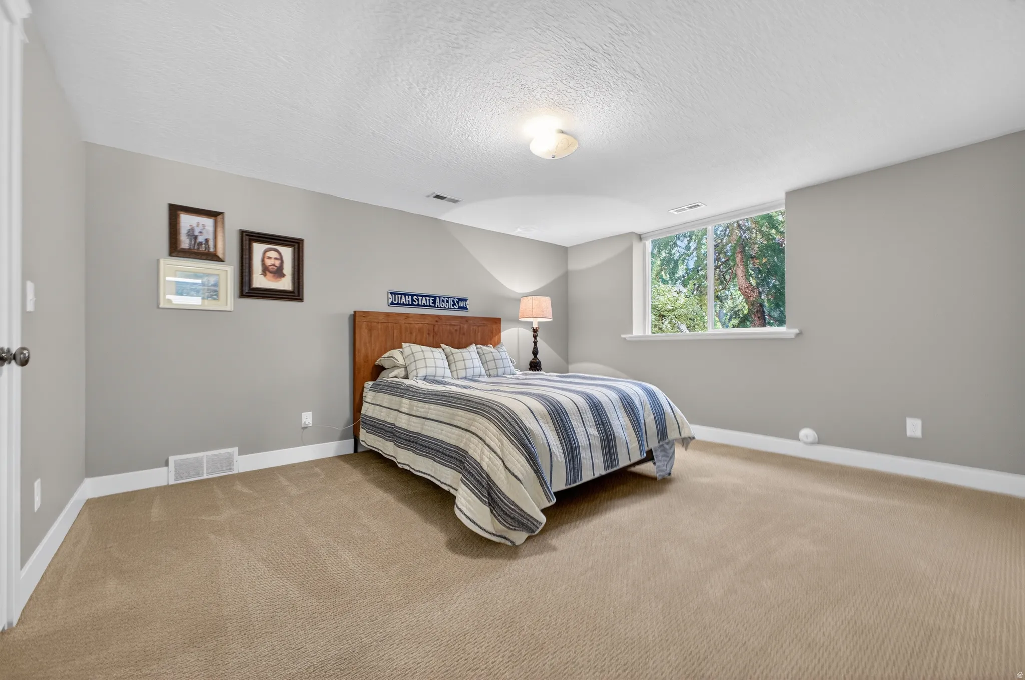 Spacious interior room featuring light gray walls, plush beige carpeting, white trim, a large window, and a flush-mount ceiling light fixture