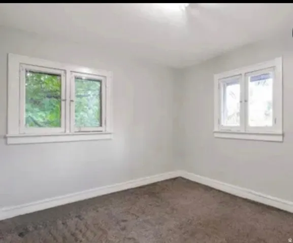 Room featuring light-toned walls, brown carpet, white trim, and two windows with white frames