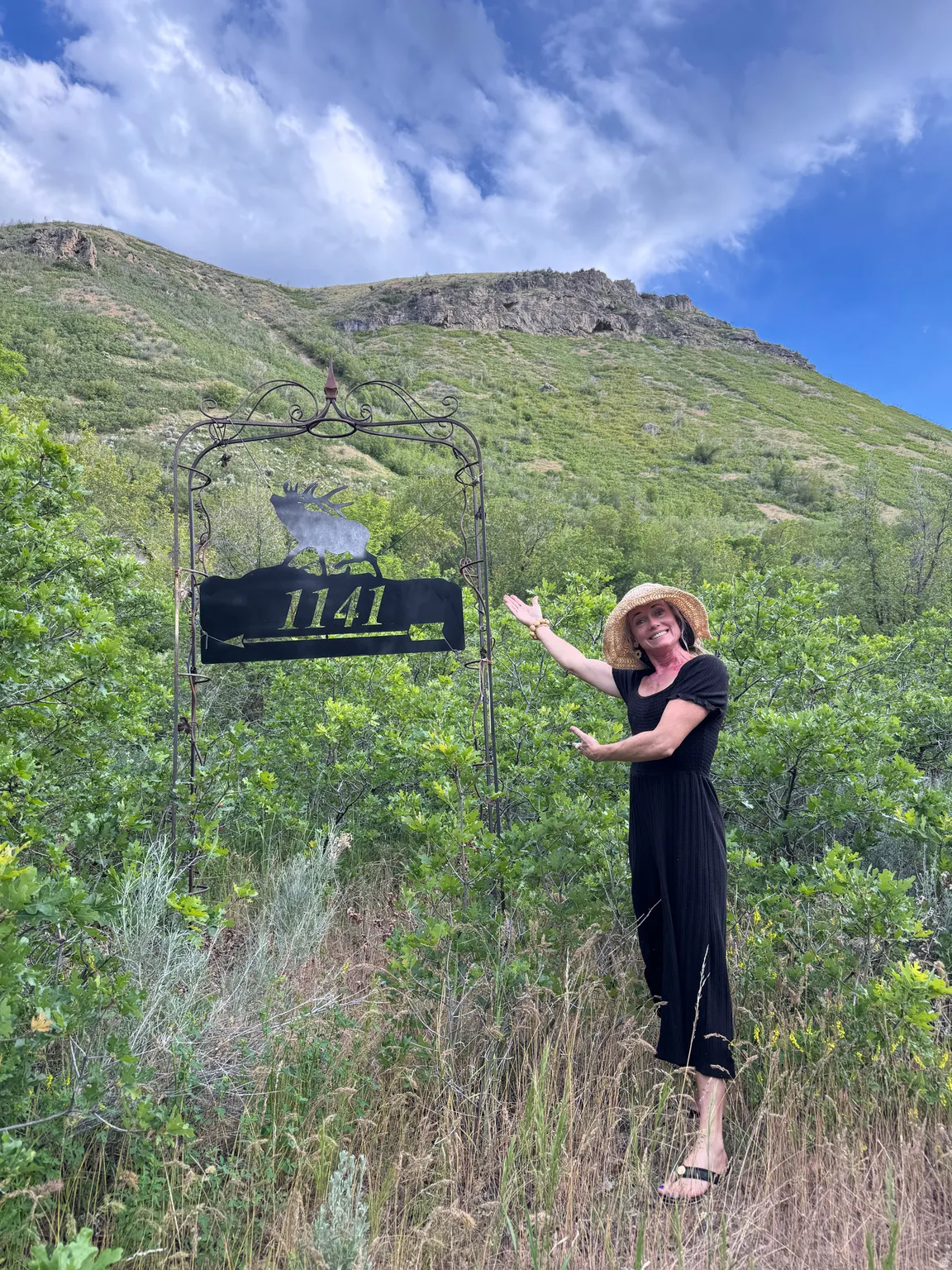 Custom wrought iron address sign with stylized elk detail
