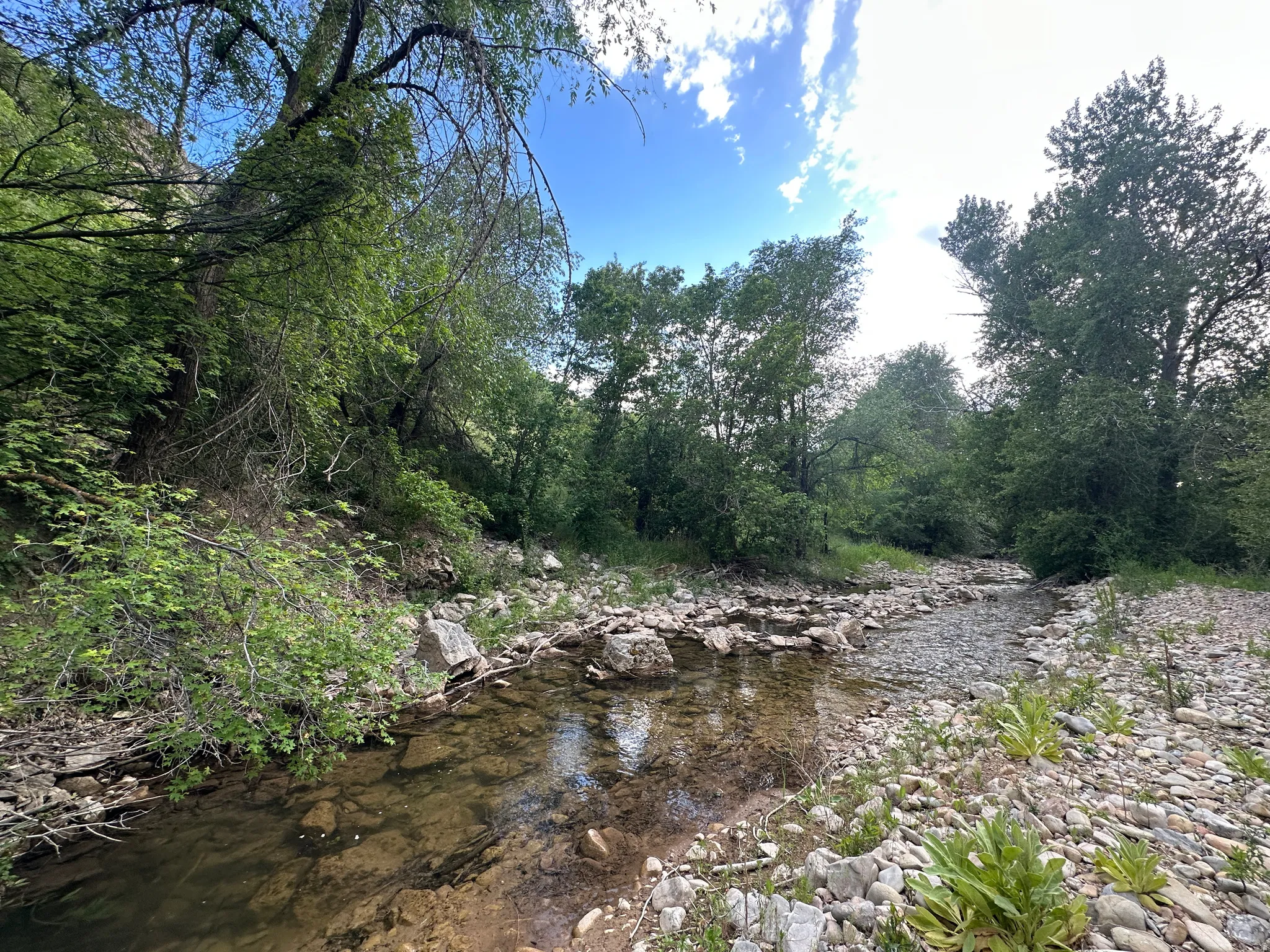 Hobble Creek on your property!!  This is all yours!  find golf balls AND fish!! see more at the end!
