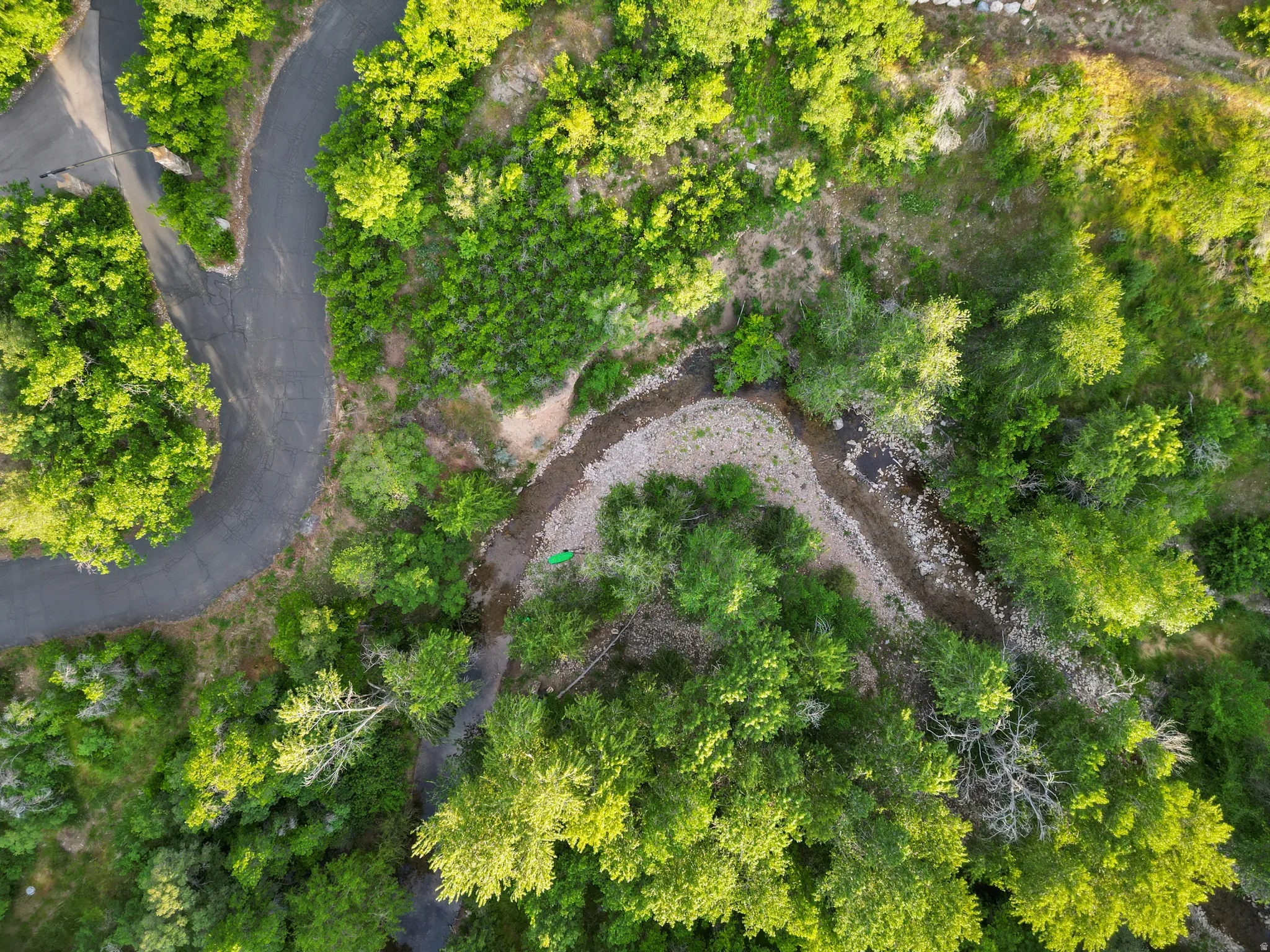 Wooded parcel featuring a winding paved road and natural water feature