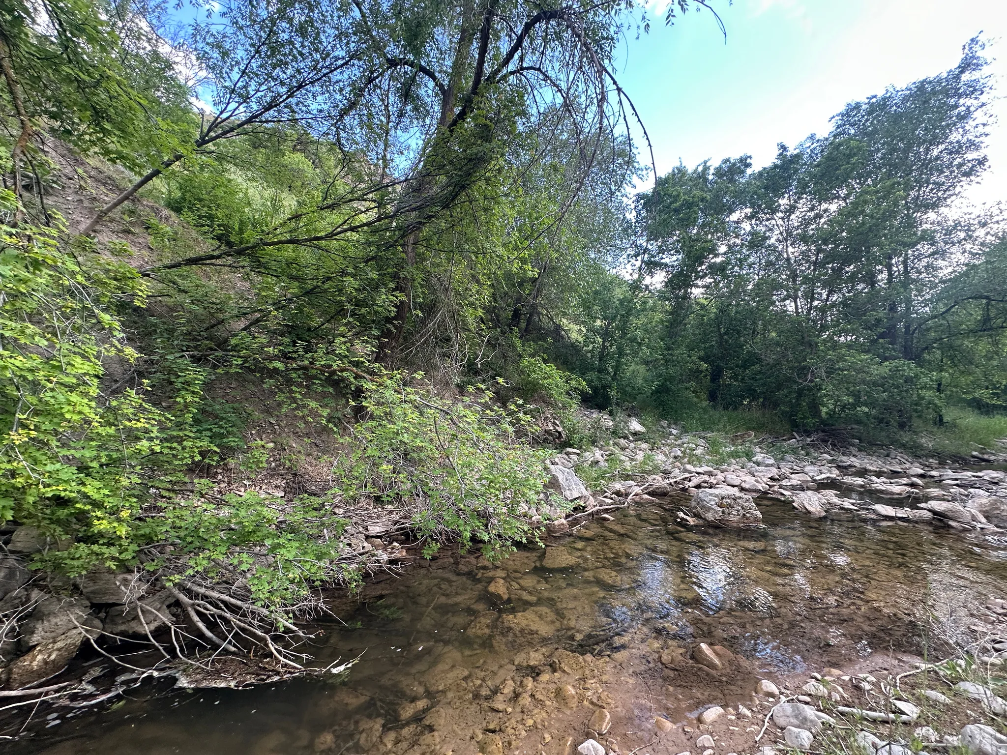 HOBBLE CREEK ON YOUR PROEPRTY!