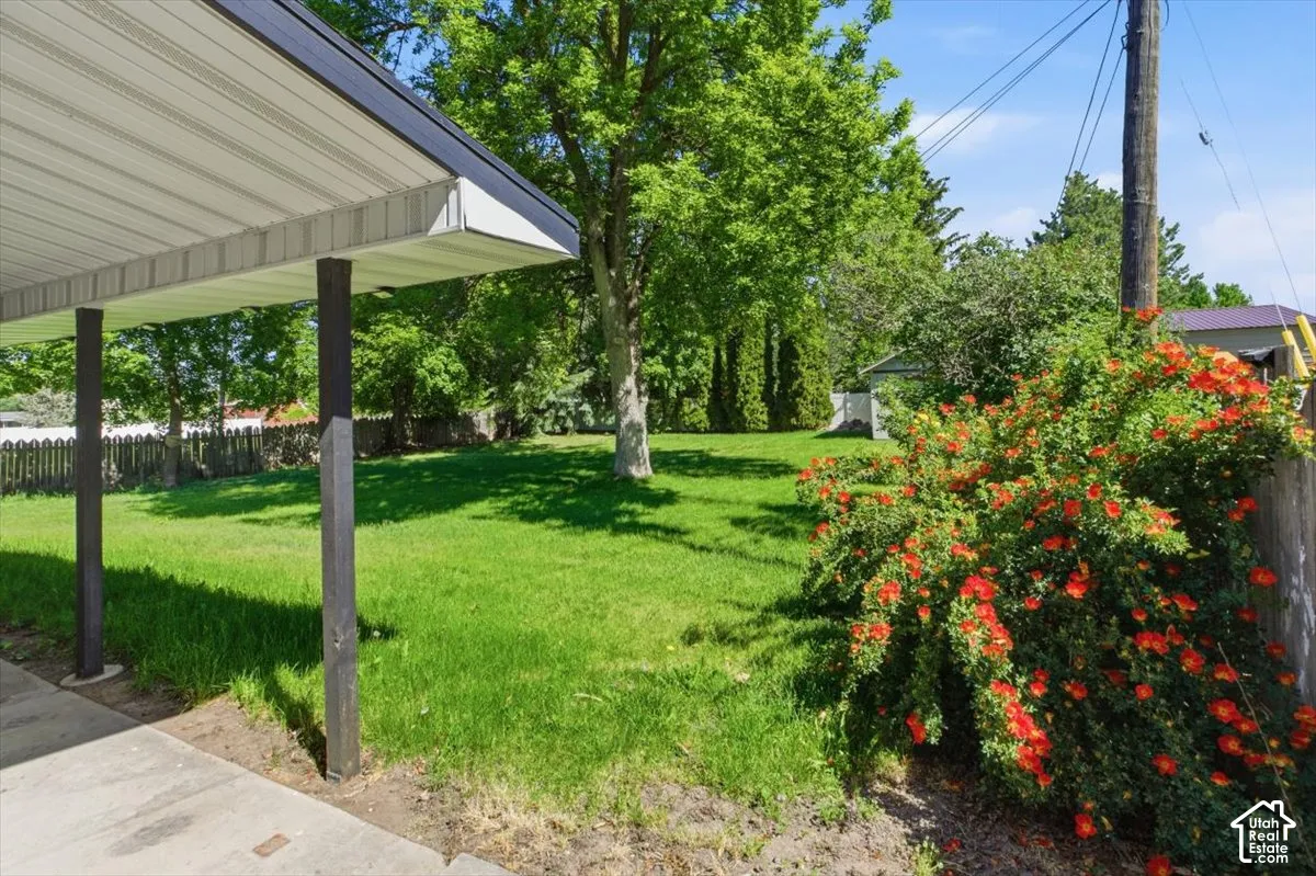 Covered outdoor area with a corrugated metal ceiling and support columns