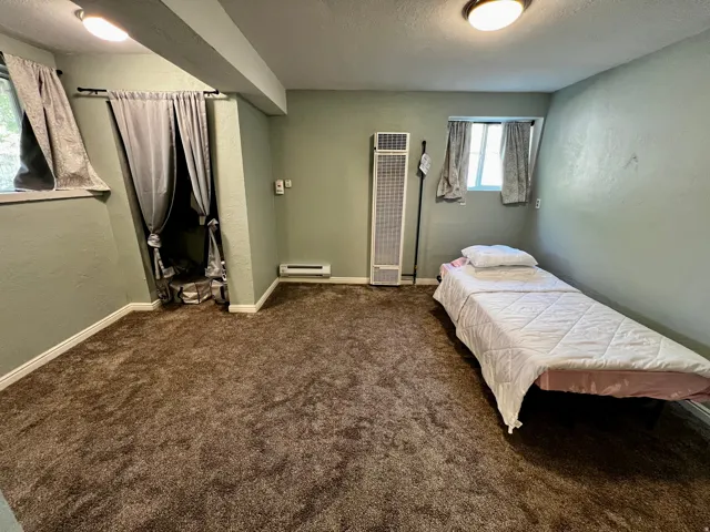 Carpeted room featuring a wall-mounted heater, two windows, and overhead lighting
