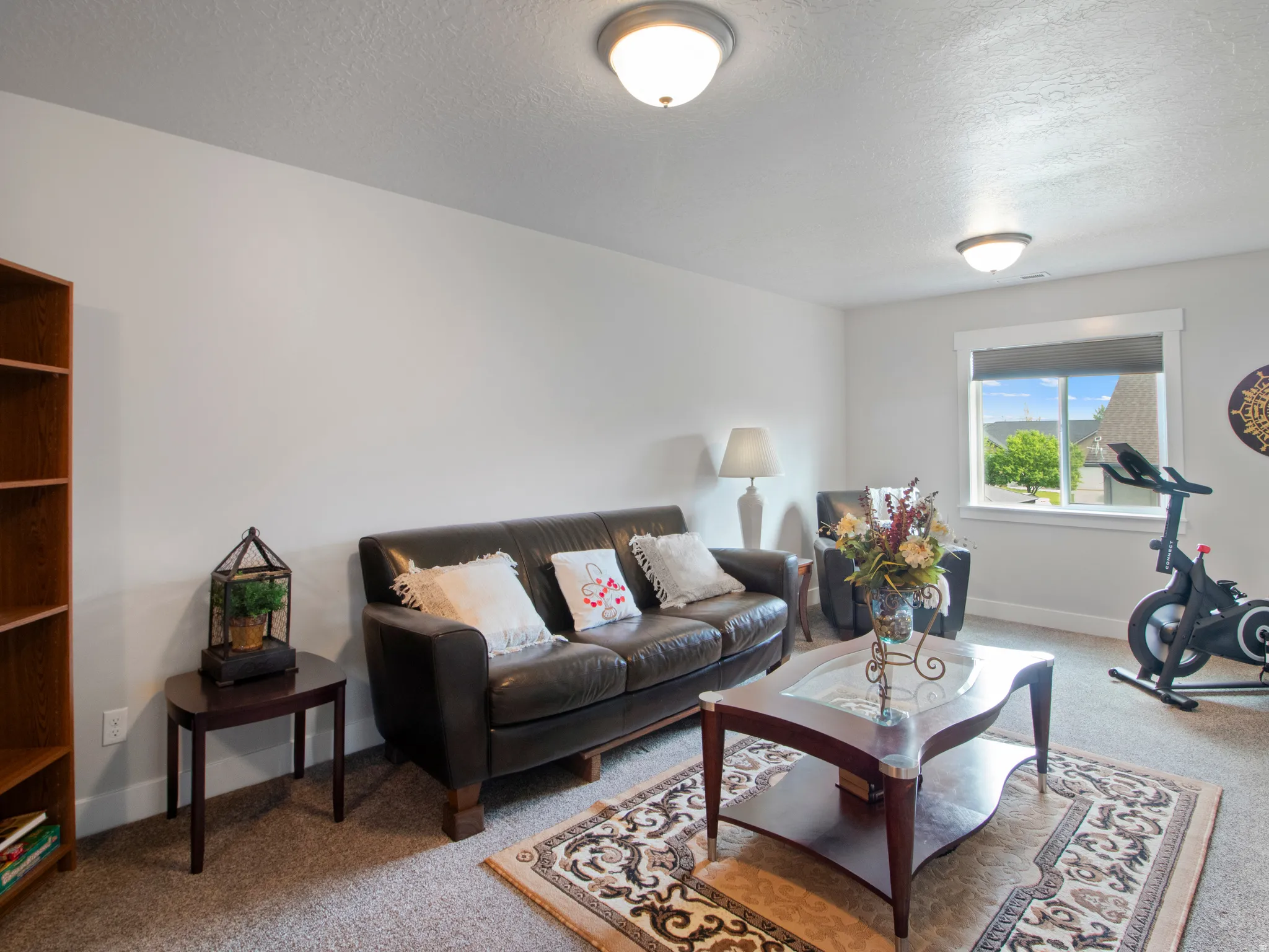 Carpeted room with a large window, providing natural light and a distant green landscape