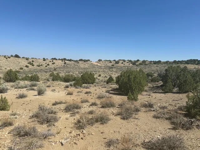 Expansive undeveloped land featuring natural desert vegetation, rolling terrain, and distant hills under a clear blue sky