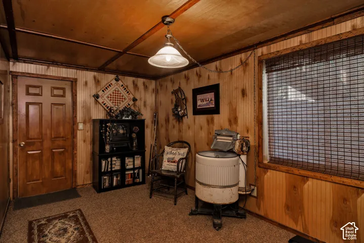 Wood paneling and wood-finish door with an overhead chain-hung light fixture