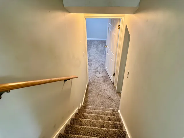 Carpeted staircase with a wood handrail descending to a lower level with a carpeted hallway and a paneled interior door