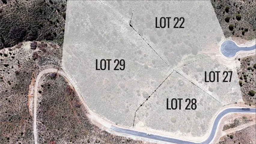 Plat Map. Illustrating the division of the property into individually identified lots