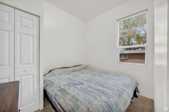 Compact room featuring a single window with blinds, carpet flooring, and a bi-fold closet door