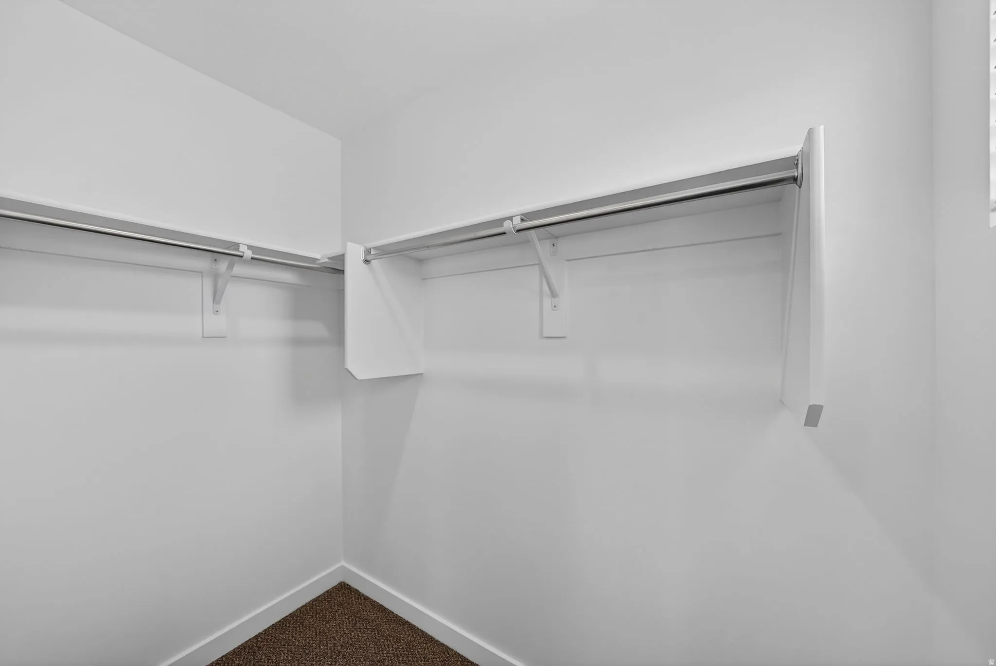 Walk-in closet featuring white built-in shelving, hanging rods, and dark carpeting