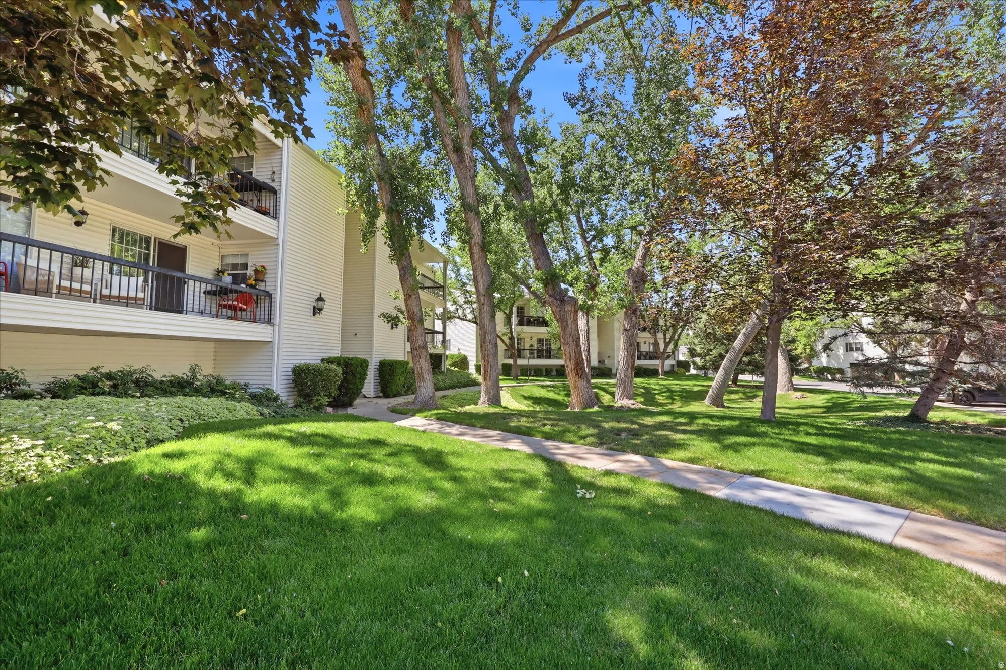 Manicured lawn with mature trees and a paved walkway