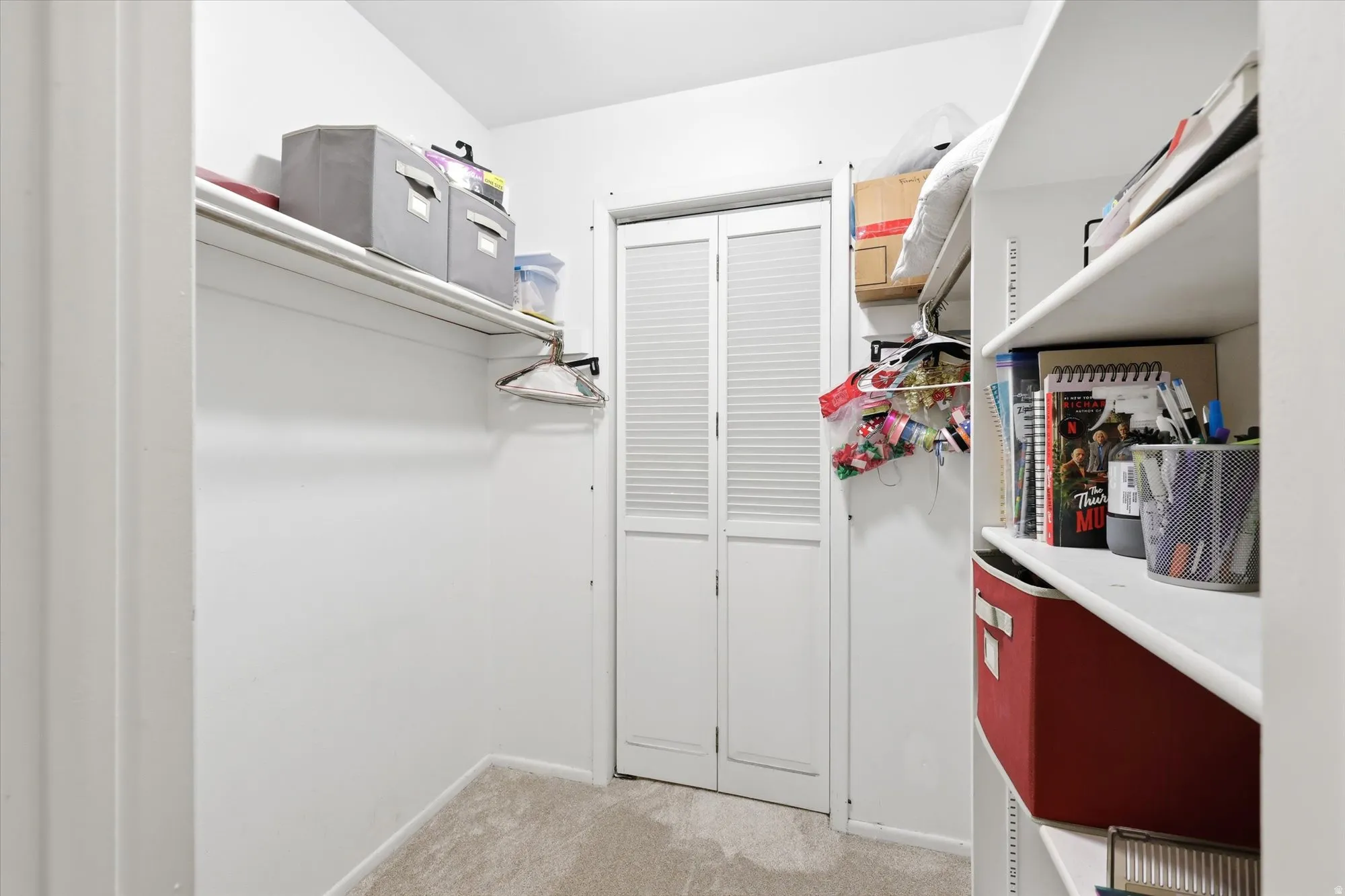 Walk-in closet with carpet flooring, white walls, built-in shelving, and bifold louvered doors