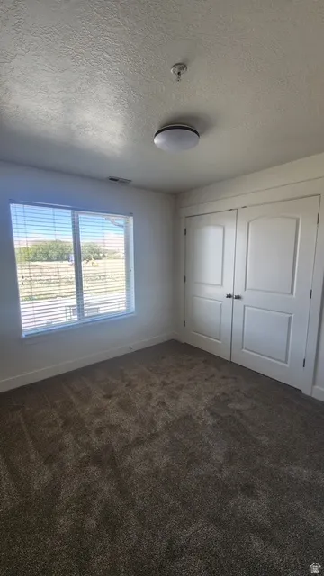 Carpeted room featuring a double window with horizontal blinds, a flush-mount ceiling light fixture, and white bi-fold closet doors