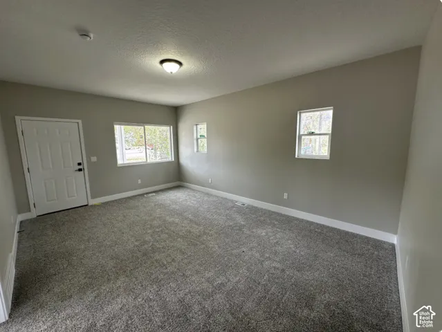 Spacious room featuring new carpet flooring, neutral paint, multiple windows, a ceiling-mounted light fixture, and a white paneled entry door