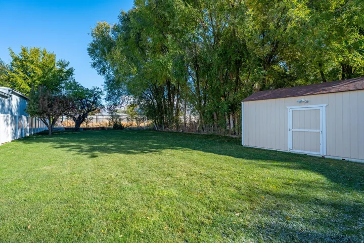 Expansive green lawn with mature trees and a dedicated storage shed featuring a brown shingle roof and double white doors