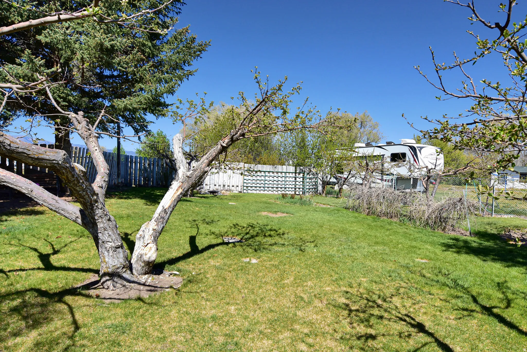 Expansive green space featuring mature trees and partial fencing