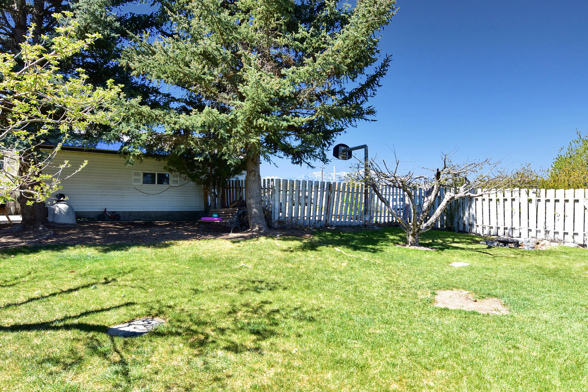 Expansive green lawn framed by mature trees and a white picket fence