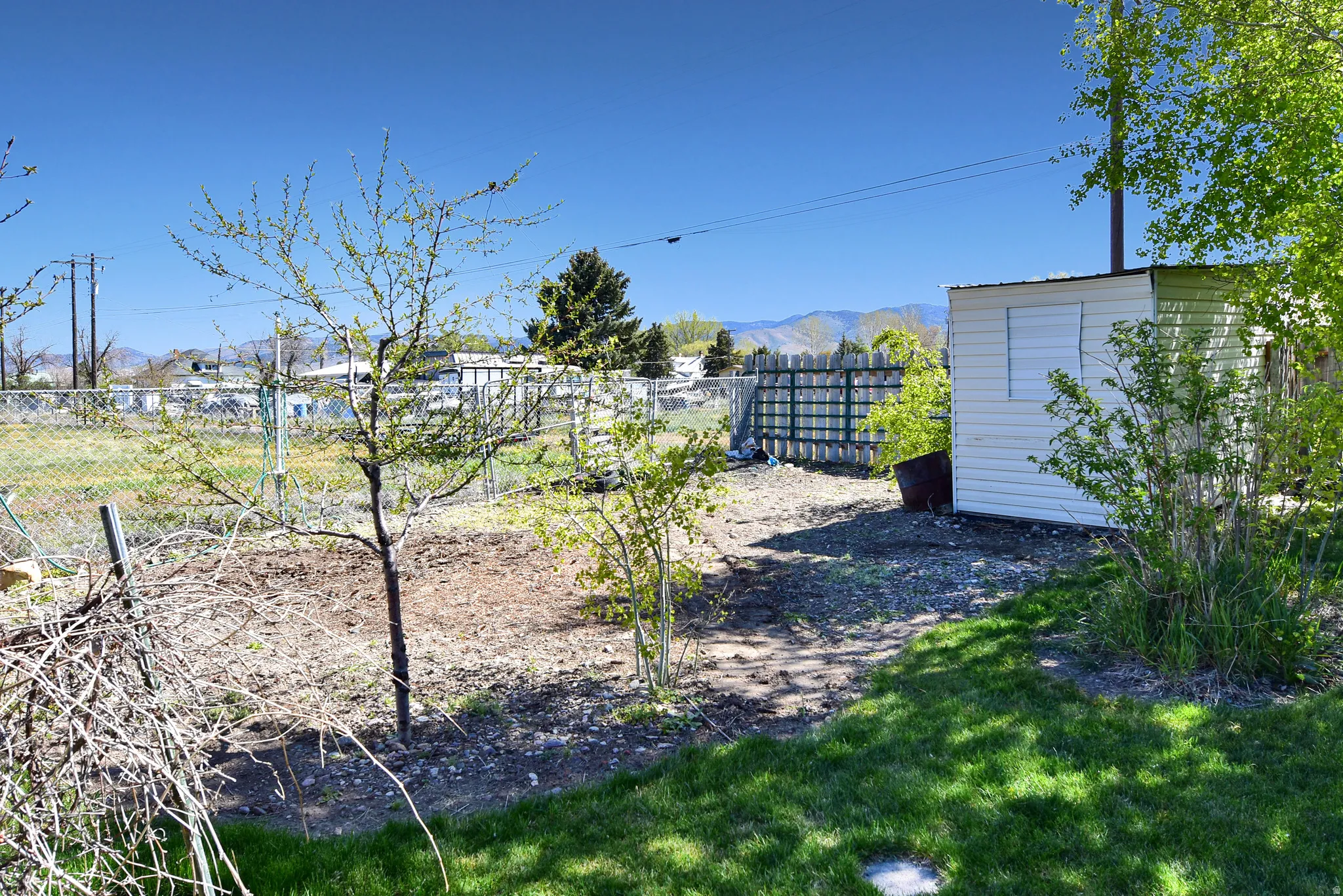 Expansive backyard featuring a white storage shed and mature landscaping