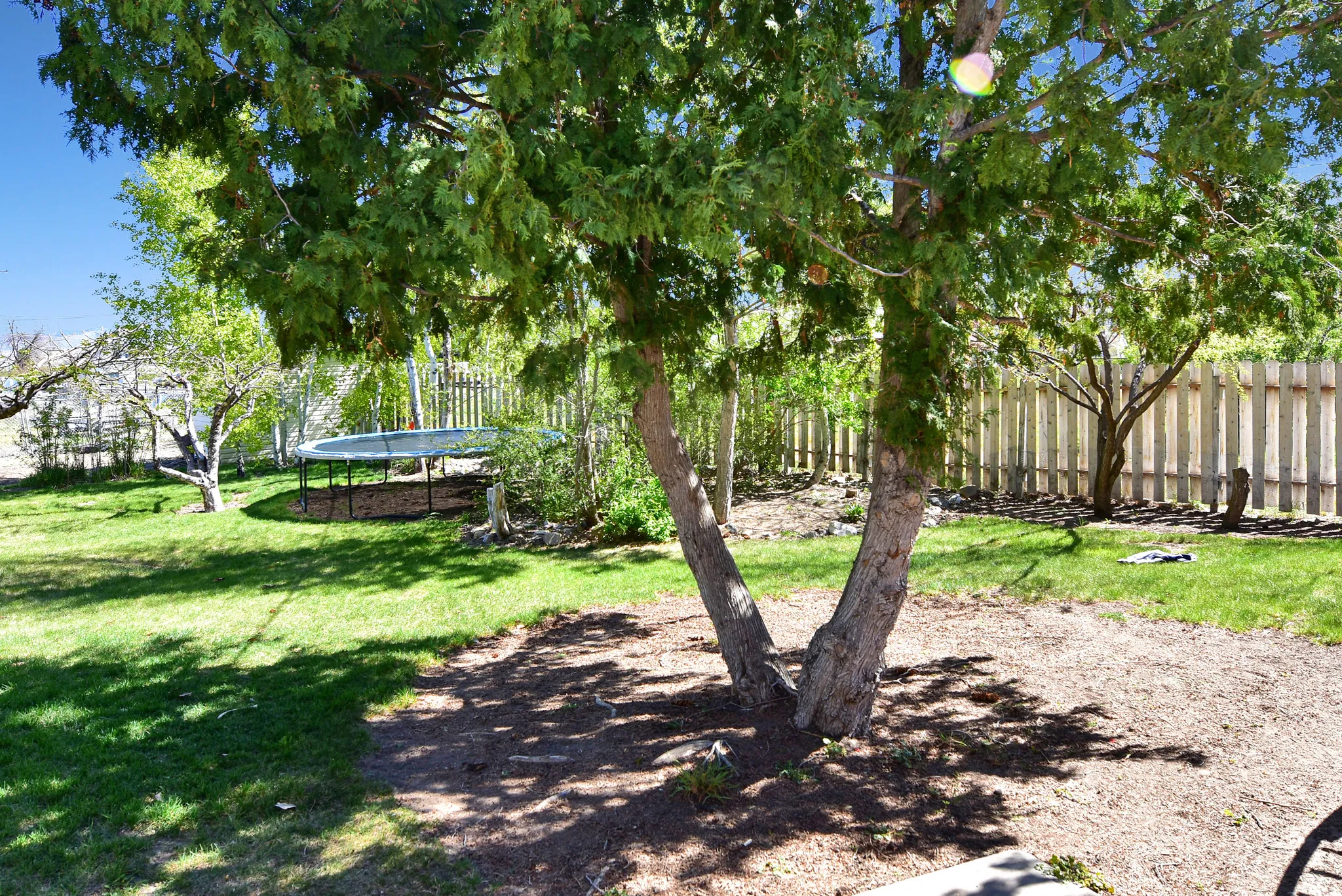 Expansive outdoor space featuring a mature tree providing natural shade