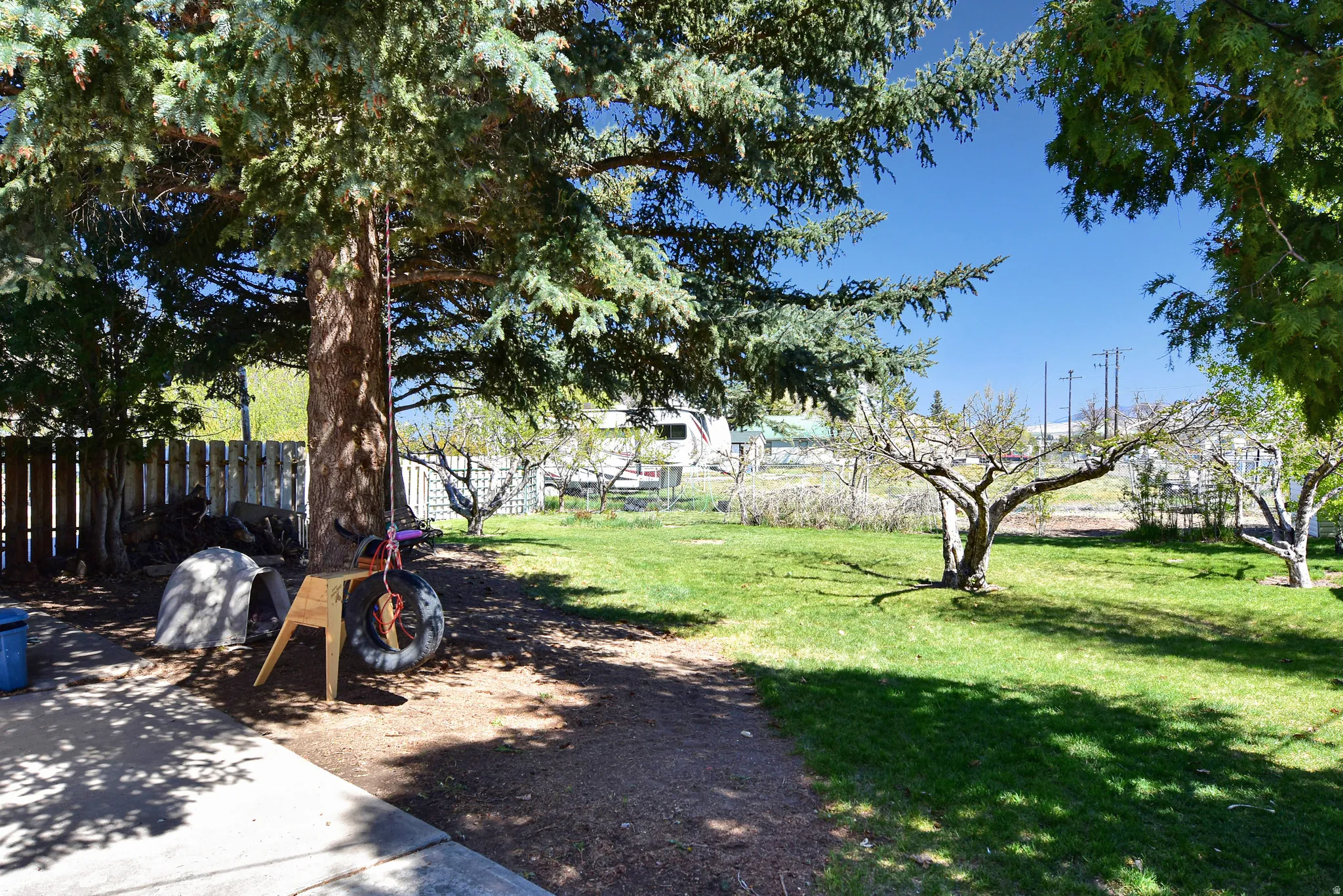 Expansive backyard featuring a mature evergreen tree, established fruit trees, green lawn, and a partial wood fence