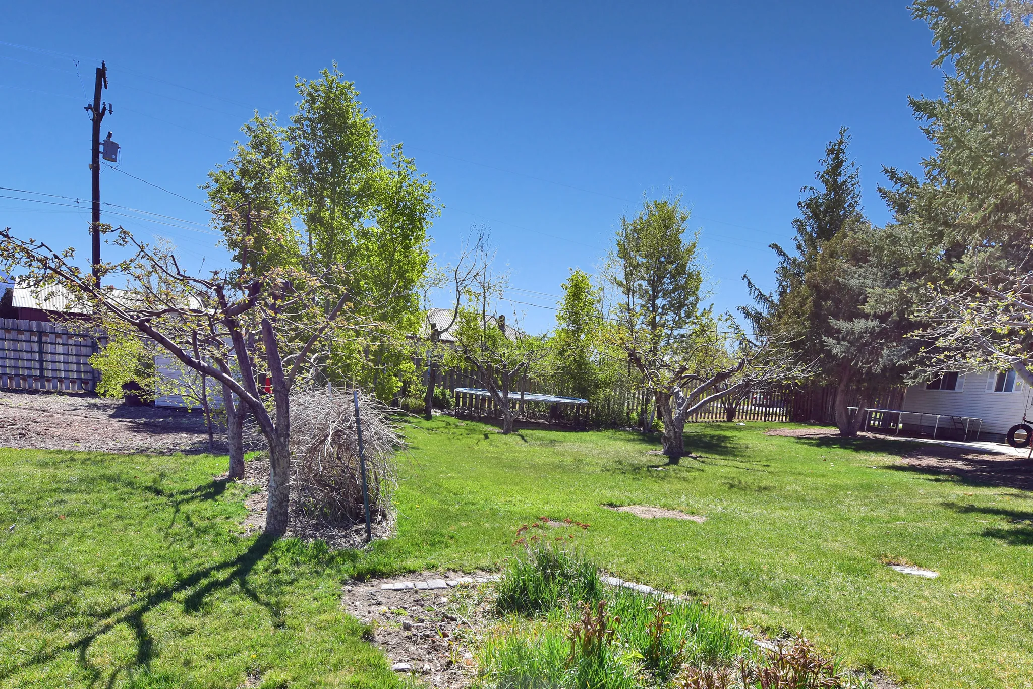 Expansive green lawn with mature deciduous and evergreen trees