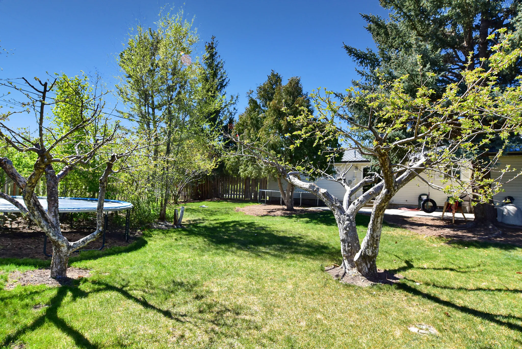 Spacious backyard featuring established trees, a manicured lawn, and a light-colored exterior building with a dark roofline