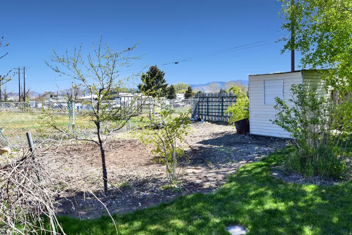 Expansive backyard featuring a white storage shed and mature landscaping