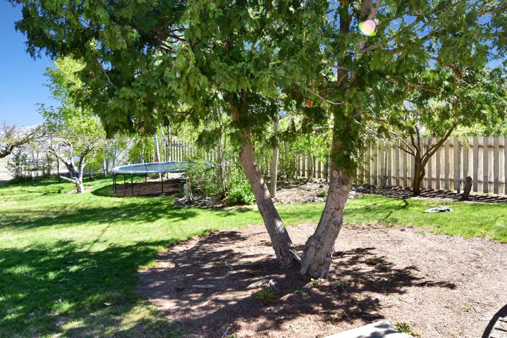 Expansive outdoor space featuring a mature tree providing natural shade
