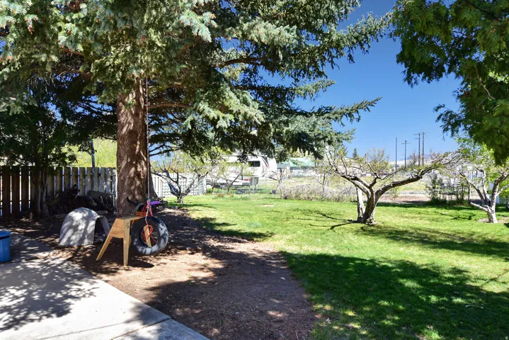 Expansive backyard featuring a mature evergreen tree, established fruit trees, green lawn, and a partial wood fence