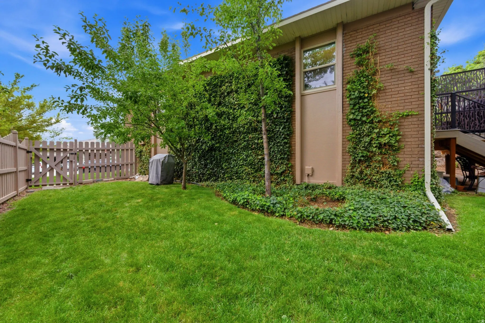 Fenced yard