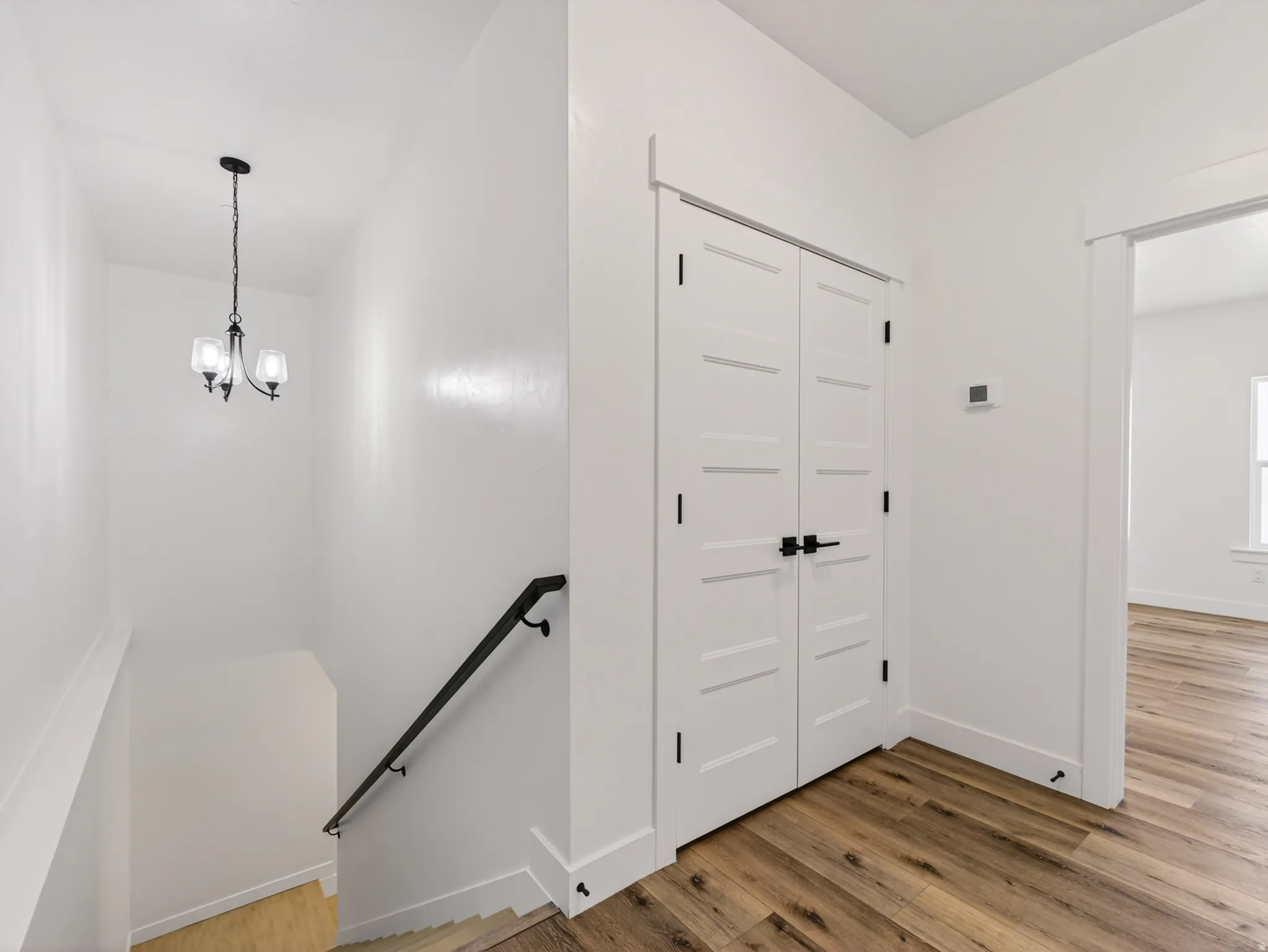 Closet storage in hallway