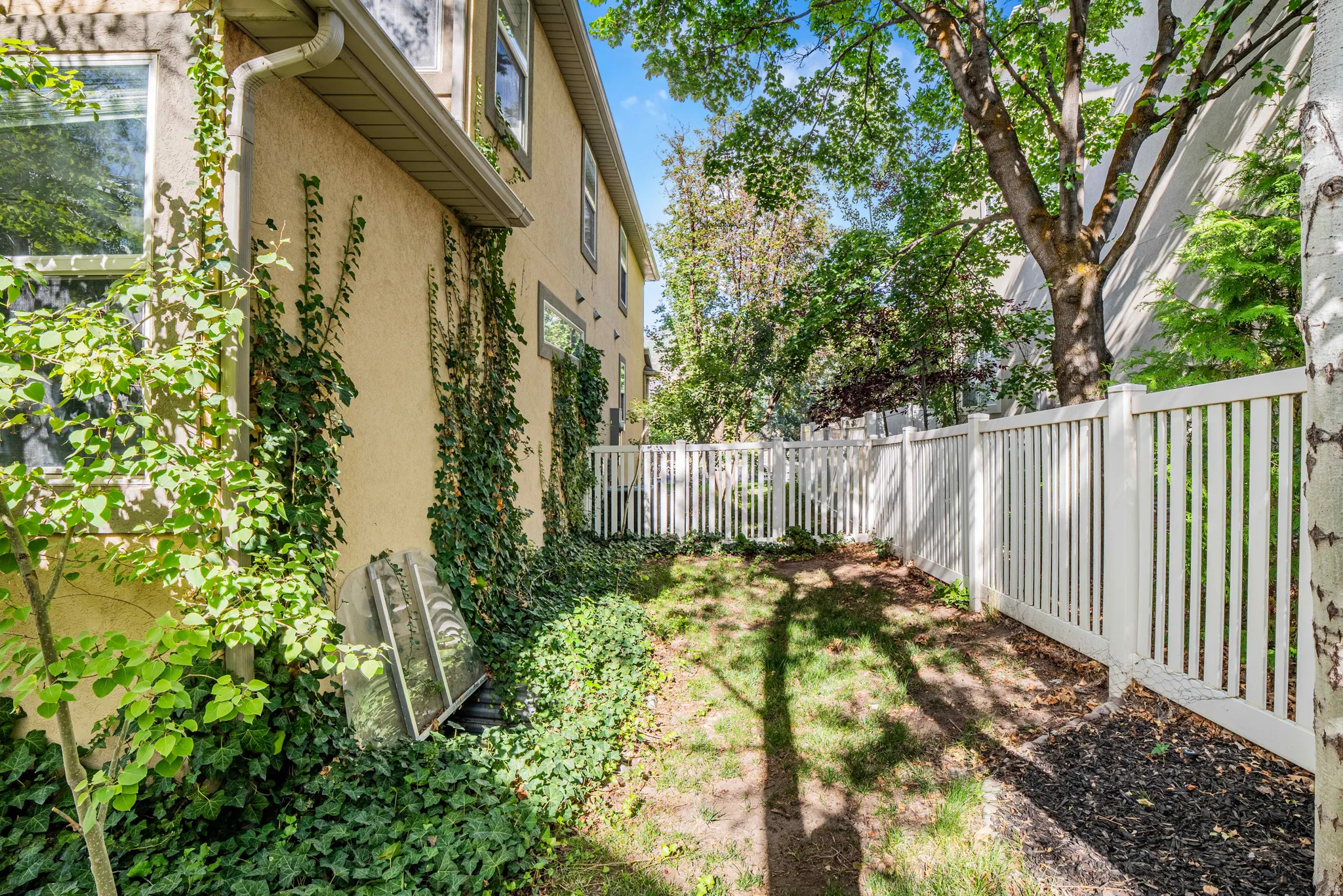 Private backyard space with a white picket fence, mature trees, and ivy-covered exterior wall