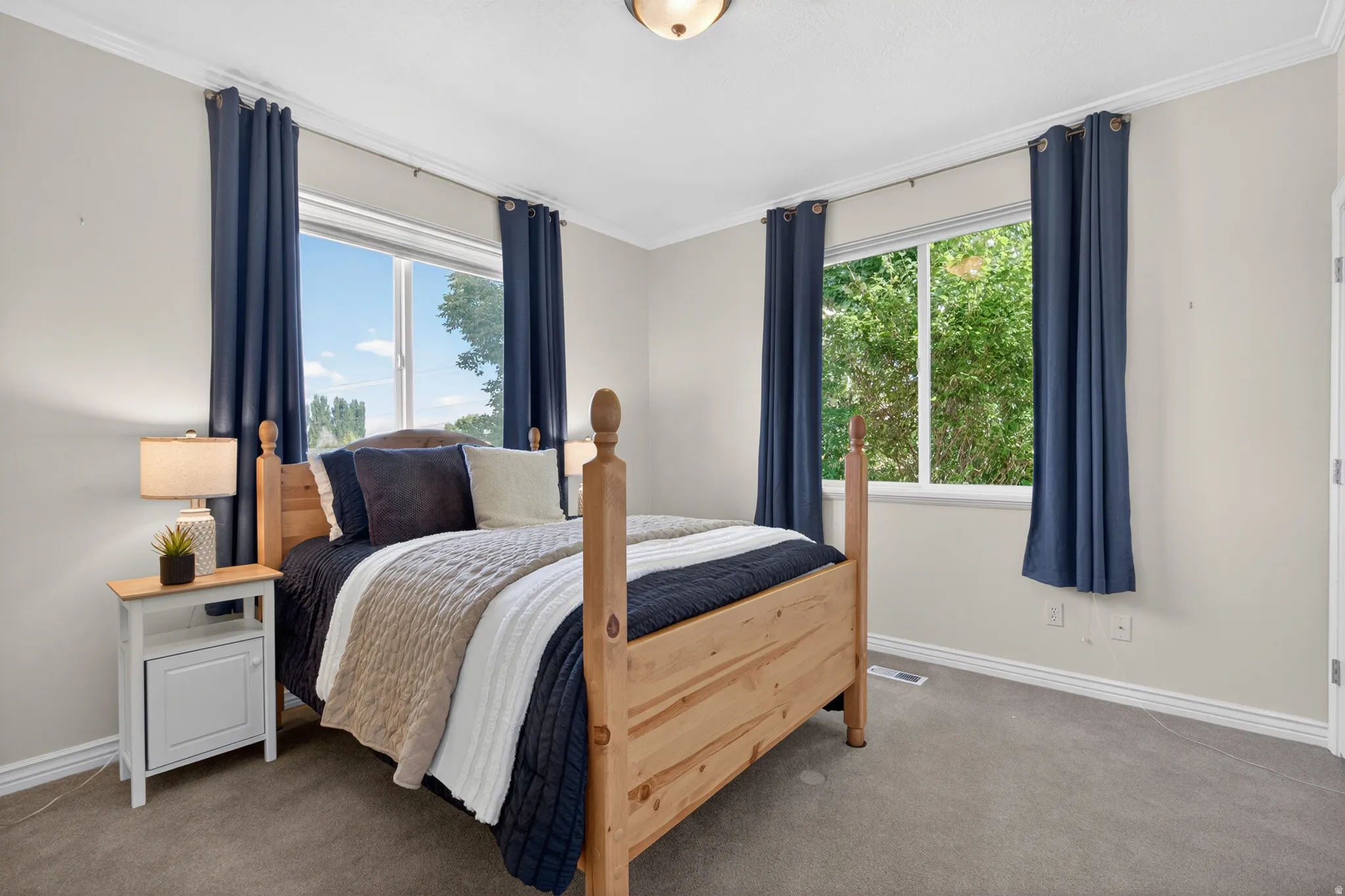 Carpeted room featuring dual windows with blue drapes, crown molding, and baseboards