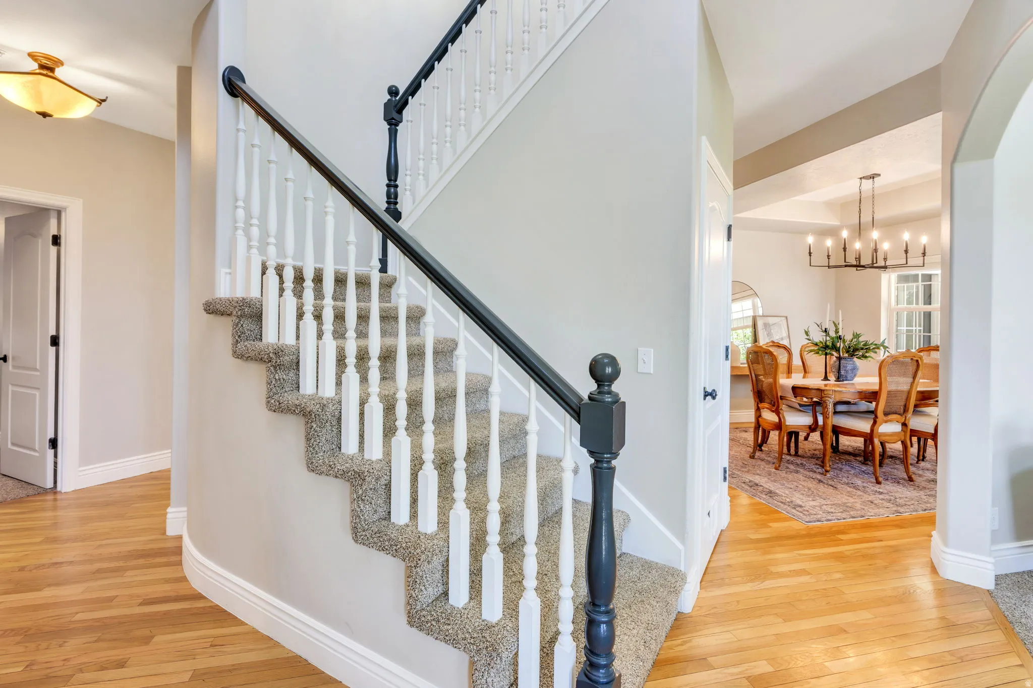 Curved staircase featuring white balusters, dark wood handrail, and carpeted treads