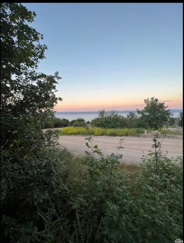 Expansive natural landscape with varied foliage and a broad body of water visible in the distance